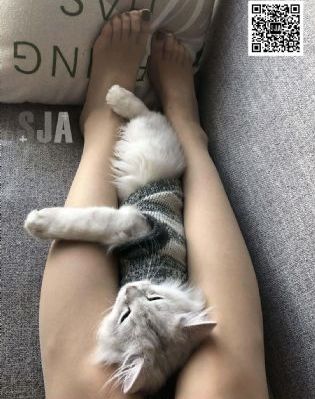 美女在线视频_剧情片电影在线观看