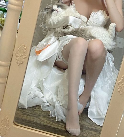 怪盗joker_视频网址大全
