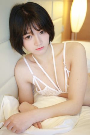 狃花女电视剧全集观看_高清免费观看最新